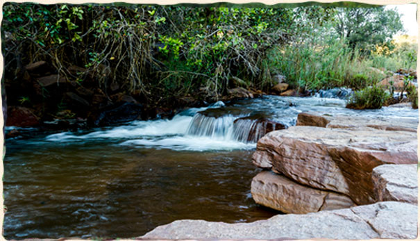 Welcome To Malmanie Game Lodge !